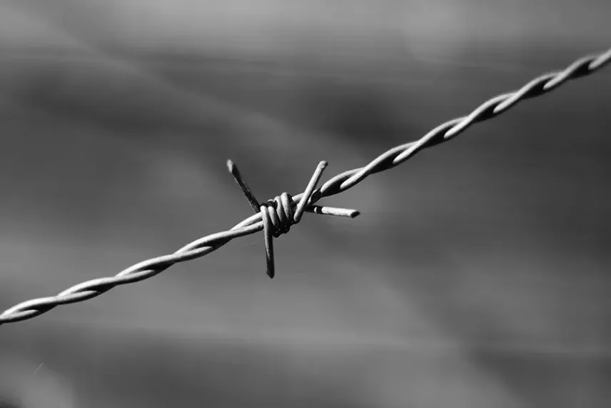 История создания колючей проволоки