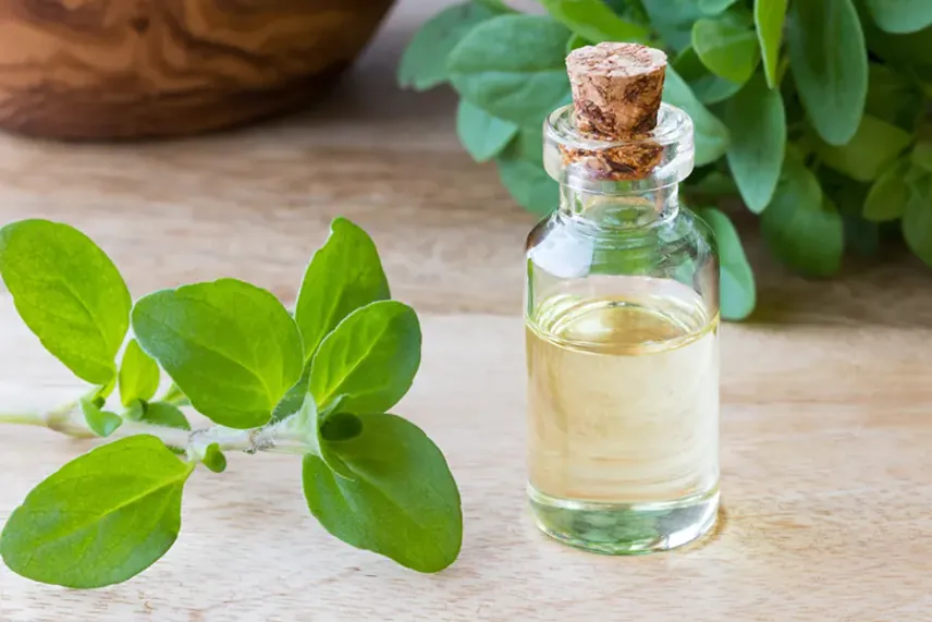 Масло майорана